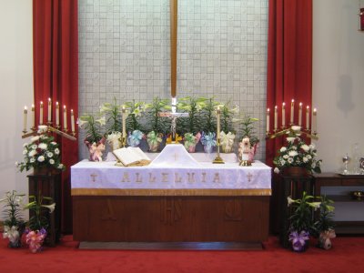 _resized_400x300_IMG_0610.jpg
